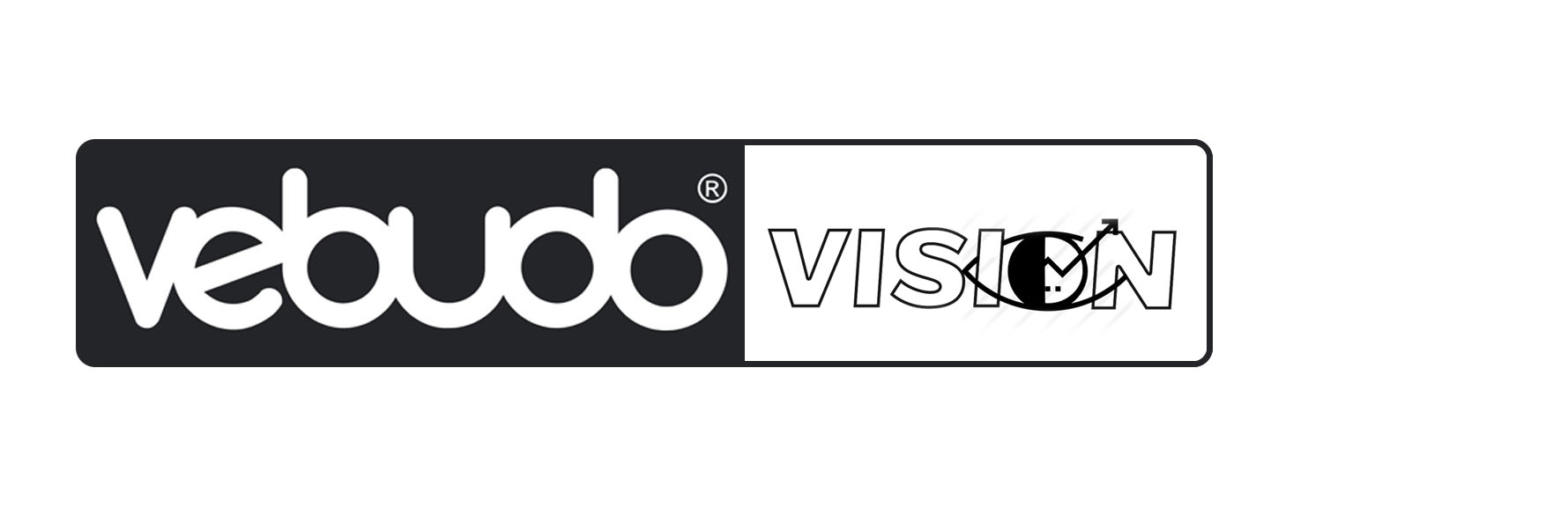 Vebudo Vision