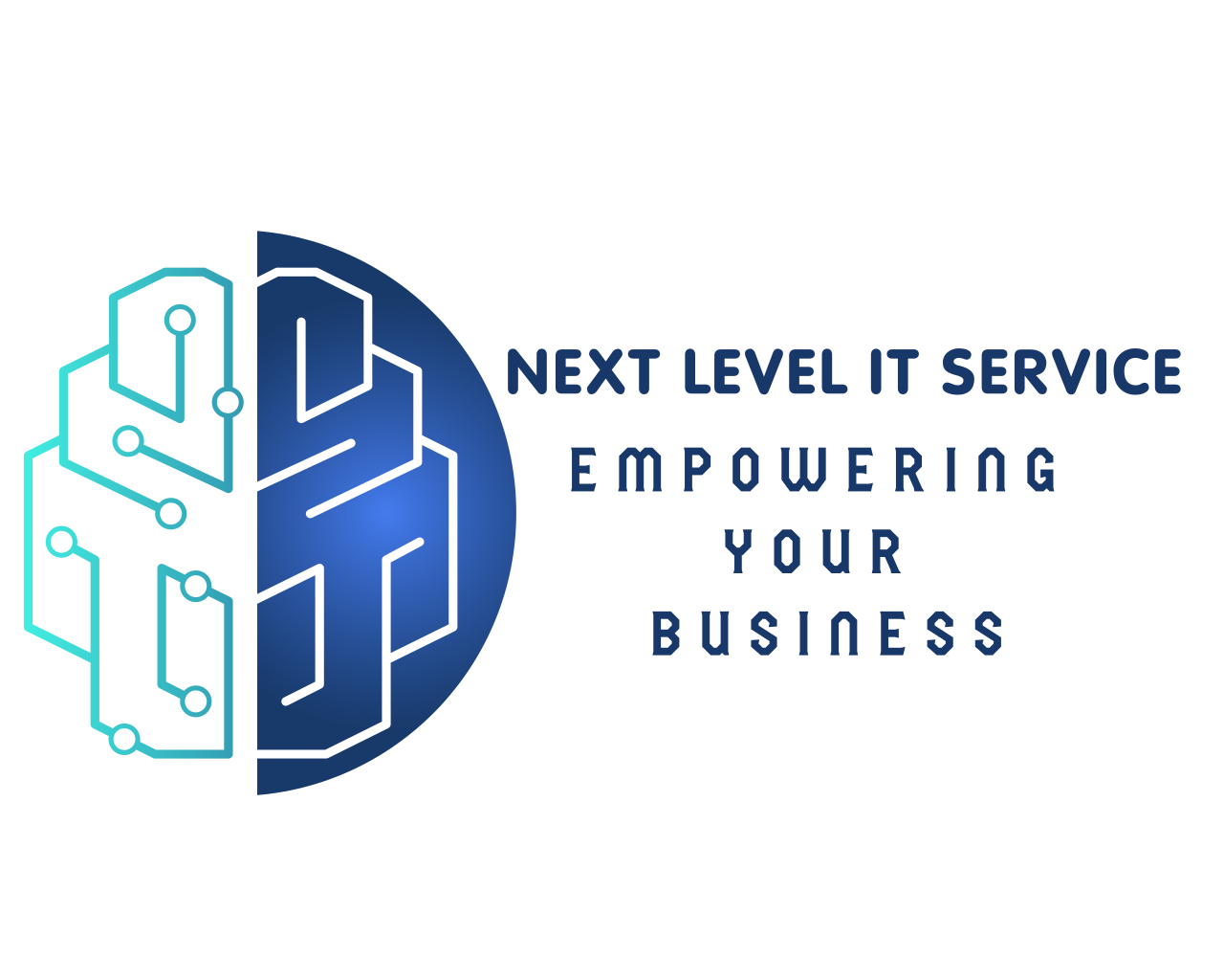 NEXT LEVEL IT SERVICE (PVT) LTD