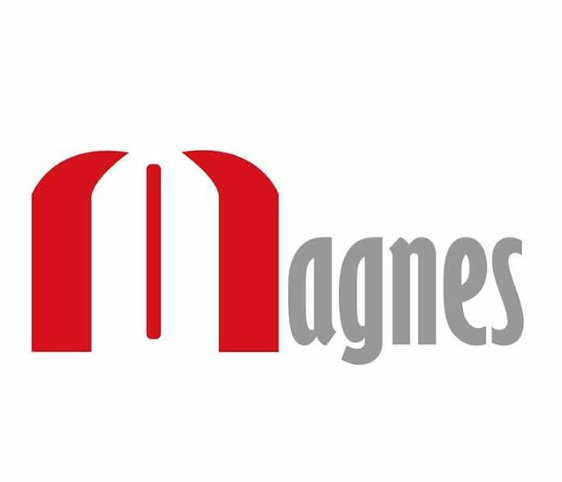 Magnes (PVT) Ltd