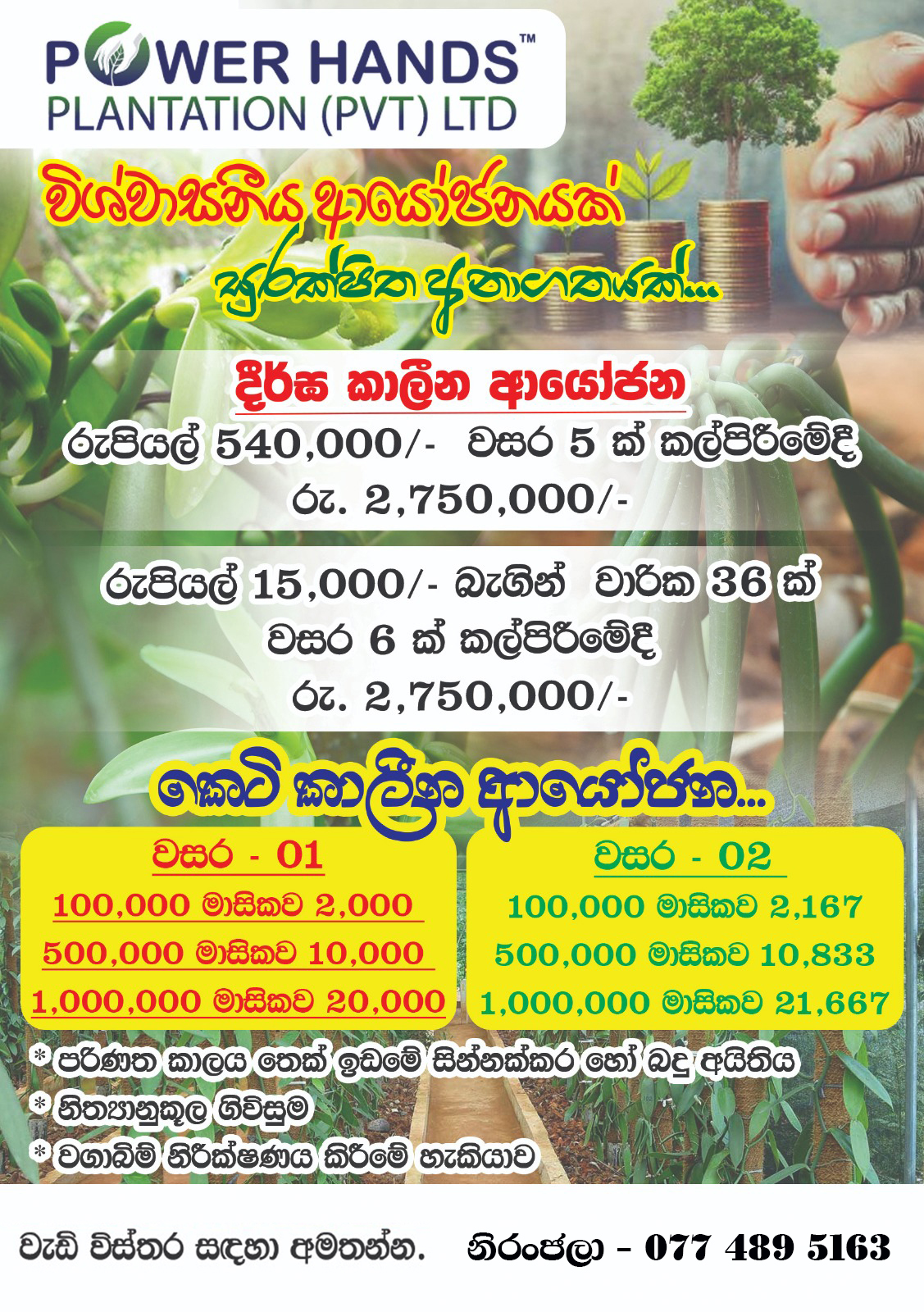 Advertisement image