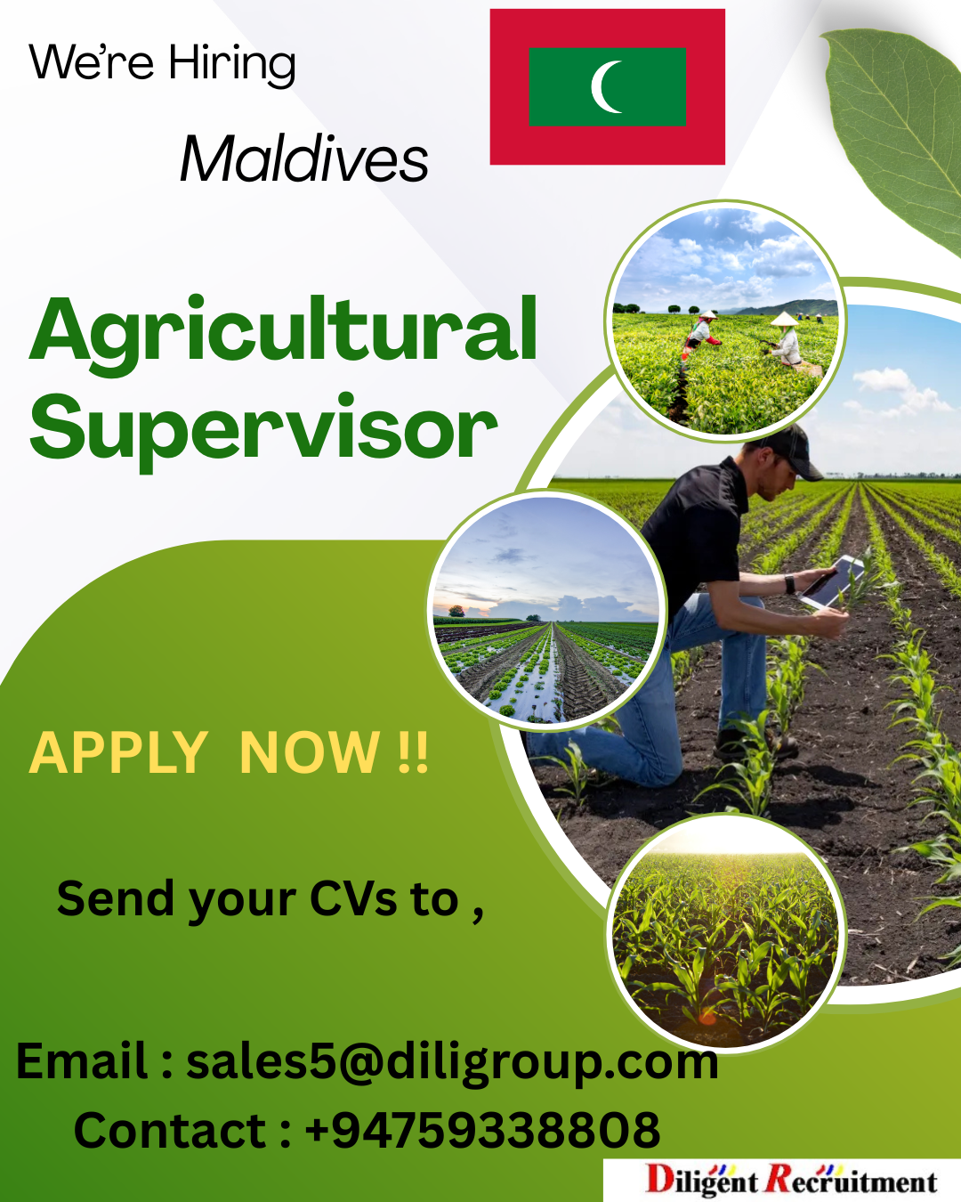Advertisement image