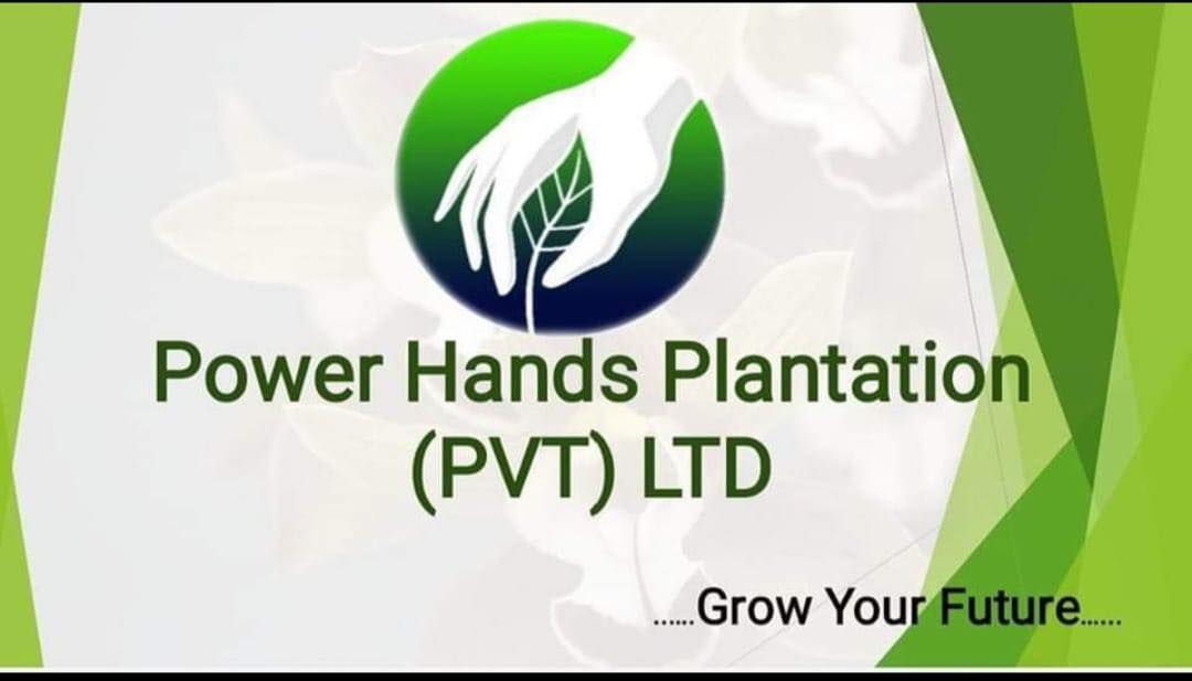Advertisement image